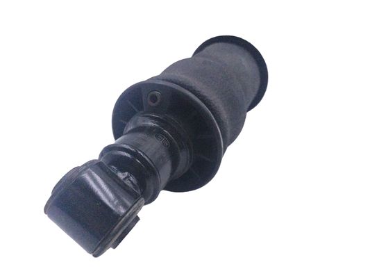 Affordable Rear Suspension Air Spring and Shock Absorber Assy for Replacement/Repair