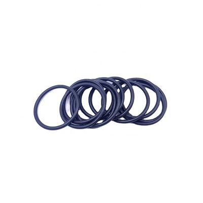 Customizable Water O-Ring for Pumps 0634-900-074 Made to Customer's Request and Durable