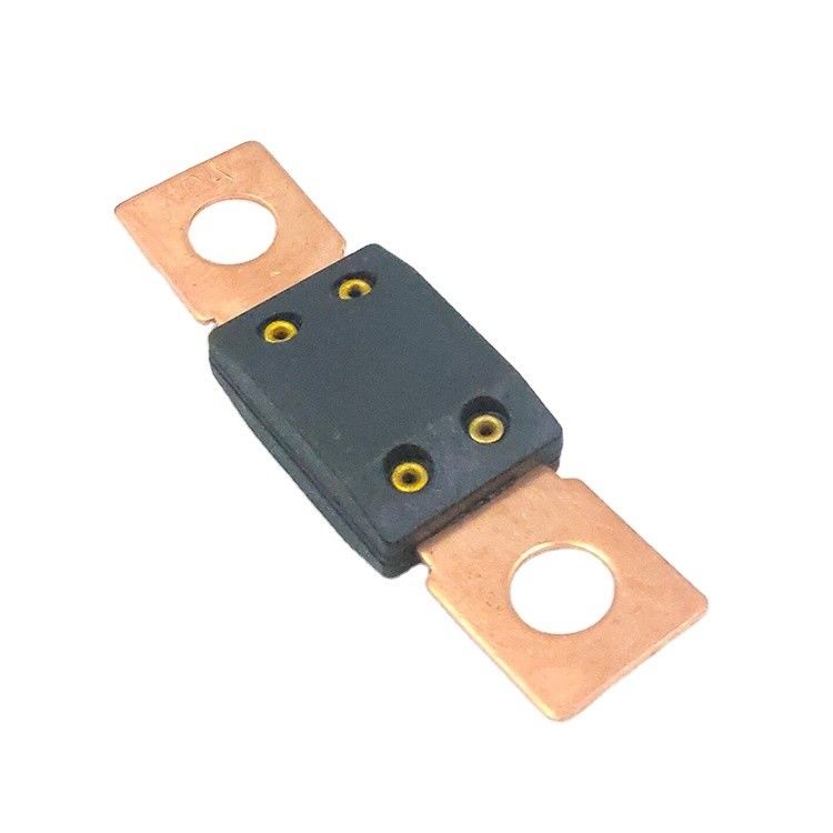Vehicle Electrical System Flat Spiral 100A Automobile Fuse for Cars Buses and Trucks
