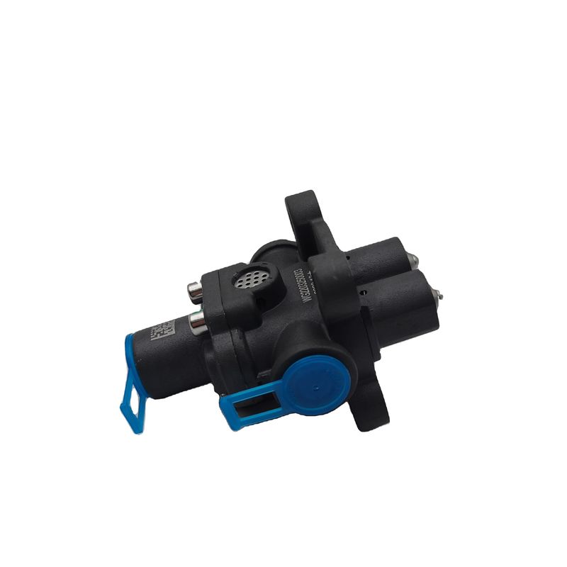 Original Double H Valve Engine Parts Valve Assy for Replacement and Repair